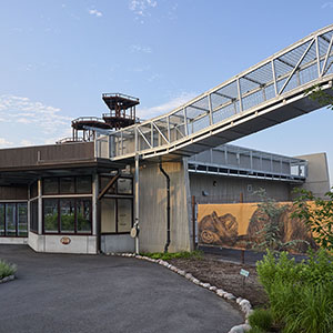 Indianapolis Zoo Chimpanzee Exhibit